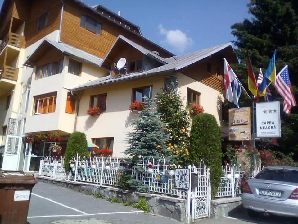 Pensiunea Capra Neagra Szászbuda Kültér fotó